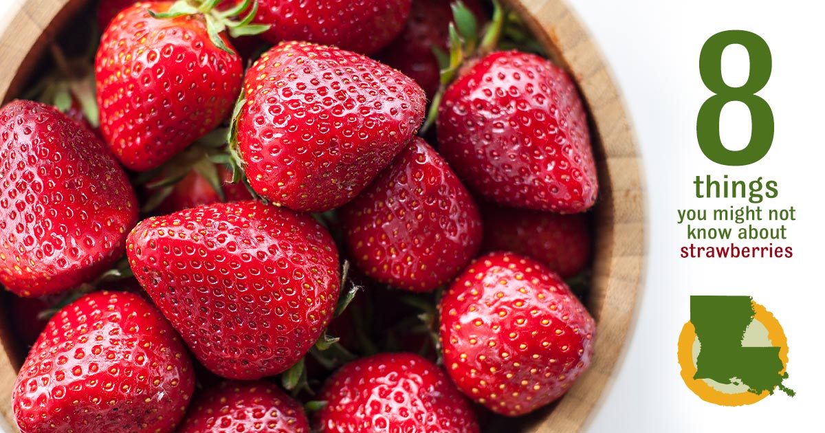 8 things you may not know about strawberries